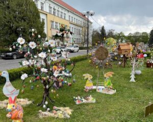 UZHHOROD NATIONAL MEDICAL UNIVERSITY